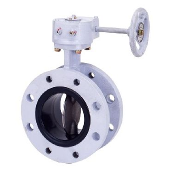 KITZ開(kāi)滋閥門、日本進(jìn)口閥門G-16DJE-250A