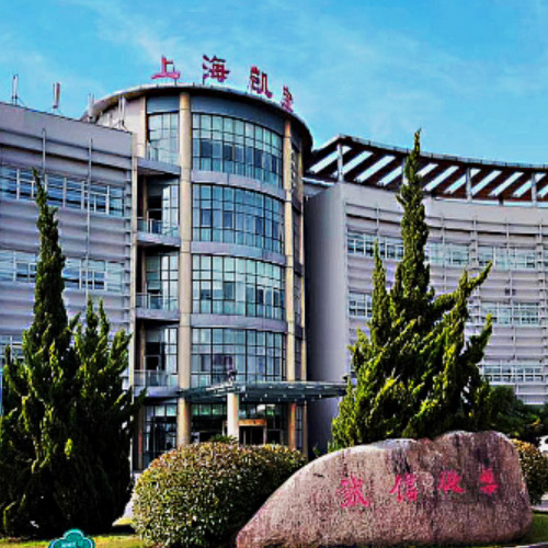 上海凱寶藥業(yè)股份有限公司.jpg 上海凱寶藥業(yè)股份有限公司.jpg